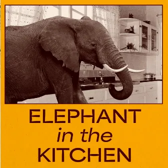 Elephant In The Kitchen by Sam Wedgwood