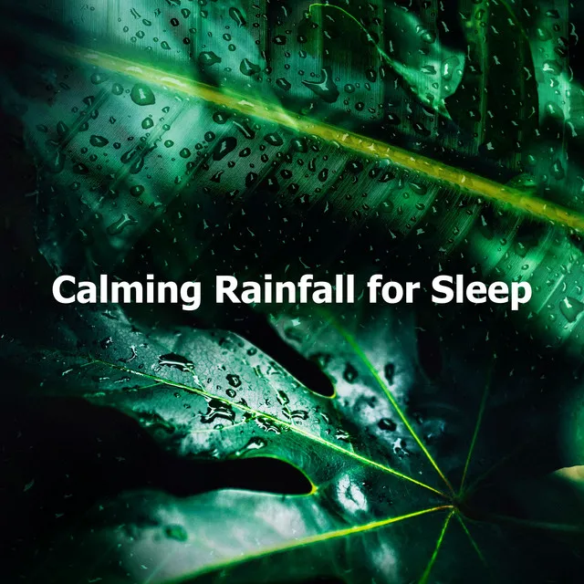 Calming Rainfall for Sleep