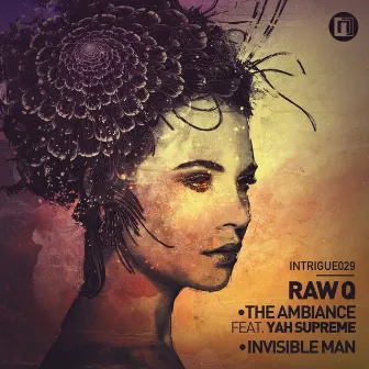 The Ambiance / Invisible Man by Raw Q