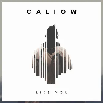 Like You by Caliow