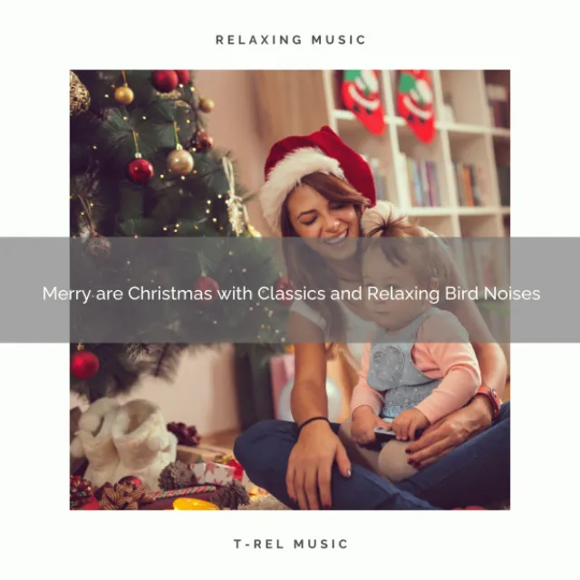 Happy are Christmas with Classics and Relaxing Wild Birds Tweets