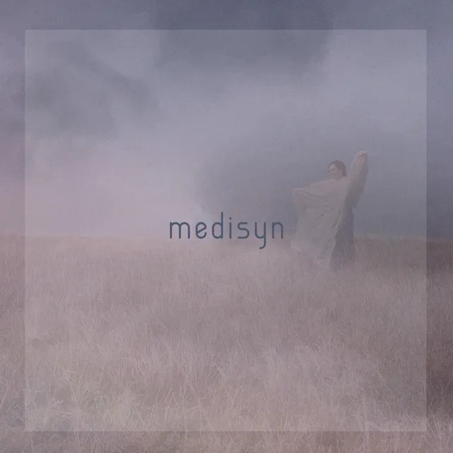 medisyn