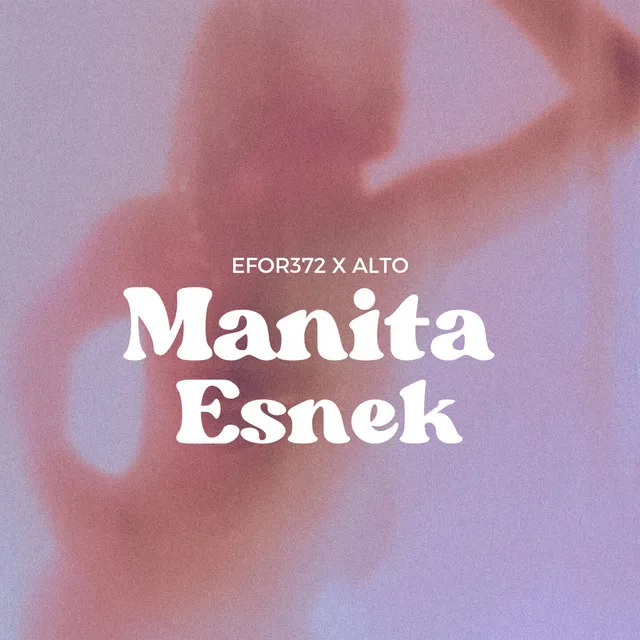 MANİTA ESNEK