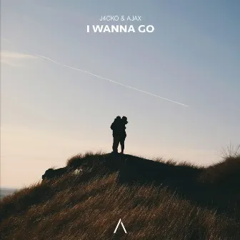 I Wanna Go by J4CKO