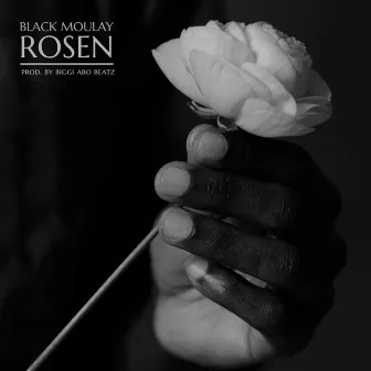 Rosen by Black Moulay