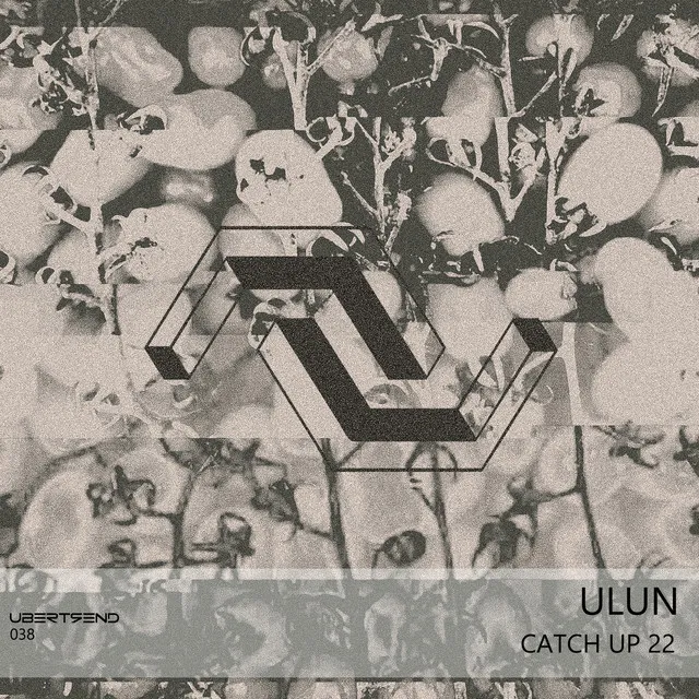 Catch Up 22 - Original mix