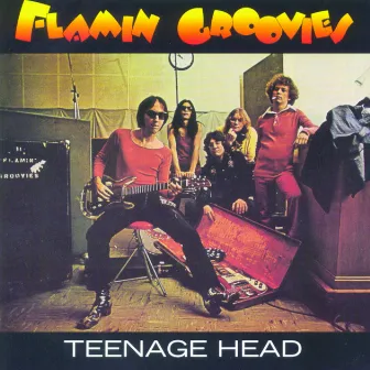 Teenage Head by Flamin' Groovies