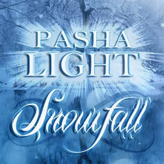 Snowfall by Pasha Light