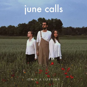 Only A Lifetime by June Calls