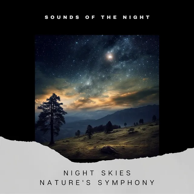 Night Skies: Nature's Symphony