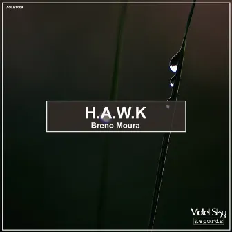 h.a.w.k by Breno Moura