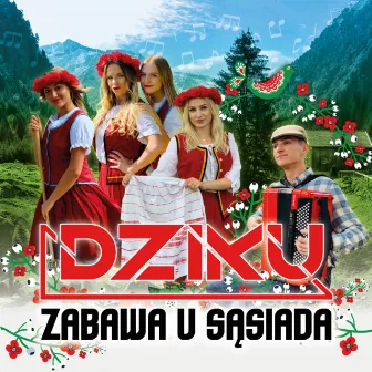 Zabawa u sąsiada (Radio Edit) by Dziku