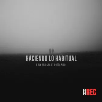 Haciendo Lo Habitual by Nalo Murgas