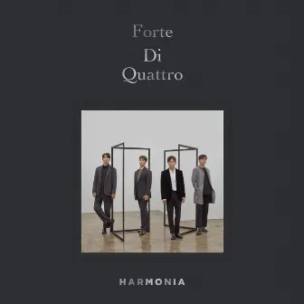 HARMONIA by Forte di Quattro