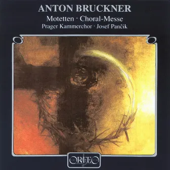 Bruckner: Motets & Choral Music by Josef Ksica