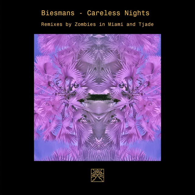 Careless Nights - Tjade Remix