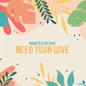 Need Your Love by Maceo Rivas