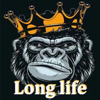 Long life by Boombap Beats