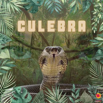 Culebra by ORO FRESCO