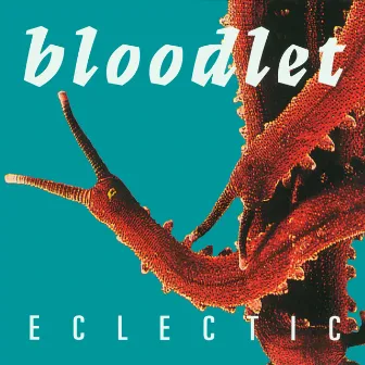 Eclectic by Bloodlet