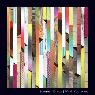 What You Want by Summer Dregs