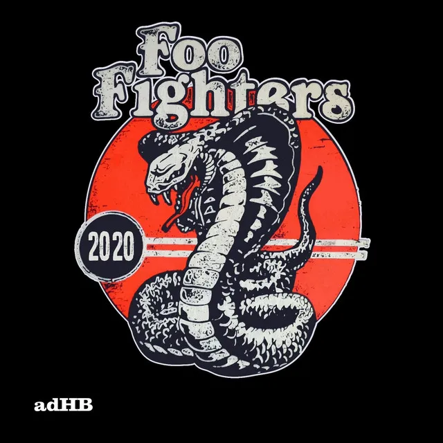 Foo Fighters 2020 (AdHB)