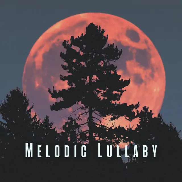 Melodic Lullaby: Meditative Piano Sounds for Easy Sleep