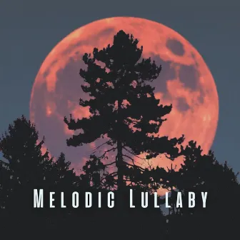 Melodic Lullaby: Meditative Piano Sounds for Easy Sleep by Instrumental Sleeping Music