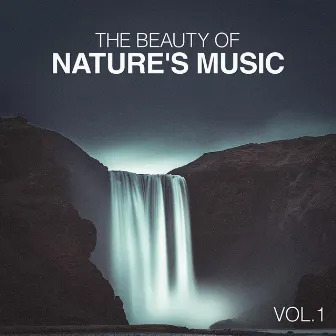 The Beauty of Nature's Music by Relaxing Zen Nature