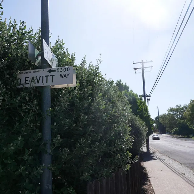 Leavitt Way