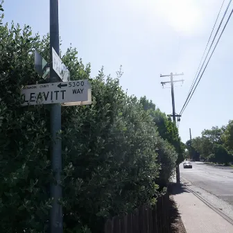 Leavitt Way by the minorities