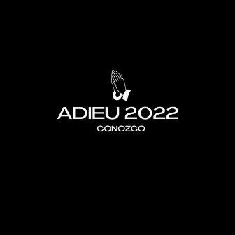 Adieu 2022 by Conozco