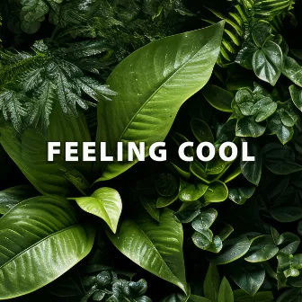 Feeling Cool by Sendo