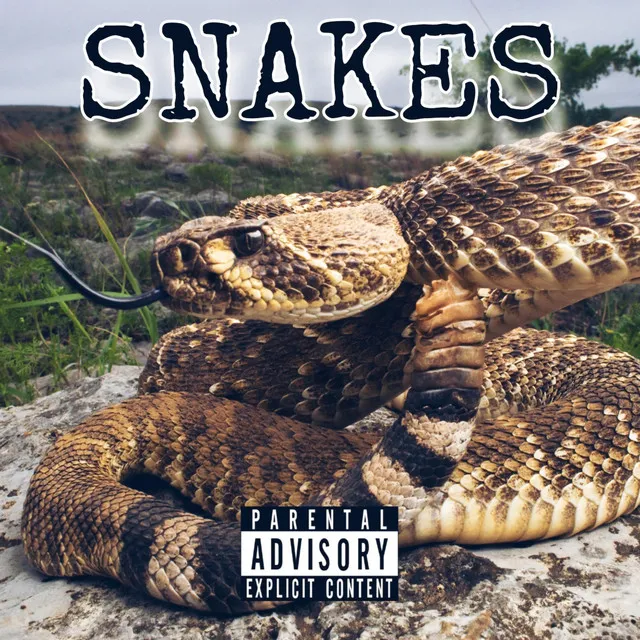 Snakes