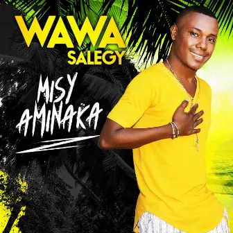 Misy Aminaka by Wawa Salegy