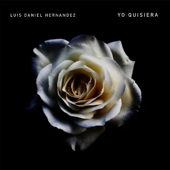 Yo Quisiera by Luis Daniel Hernandez