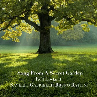 Song From A Secret Garden by Saverio Gabrielli