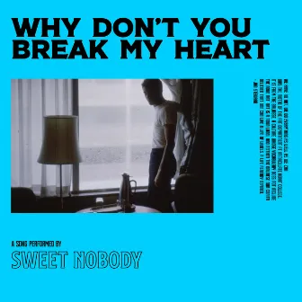 Why Don't You Break My Heart? by Sweet Nobody