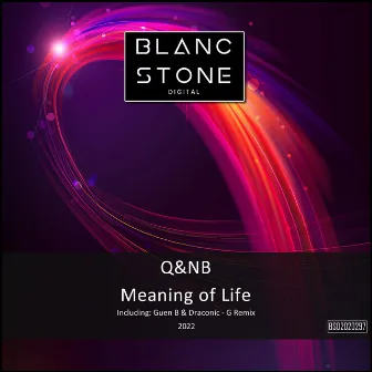 Meaning of Life by Q&NB