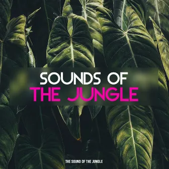 Sounds of the Jungle by The Sound Of The Jungle