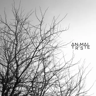 Wild at Heart by Animal Triste