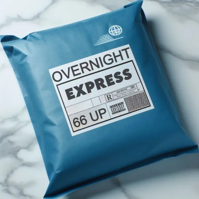 OVERNIGHT EXPRESS