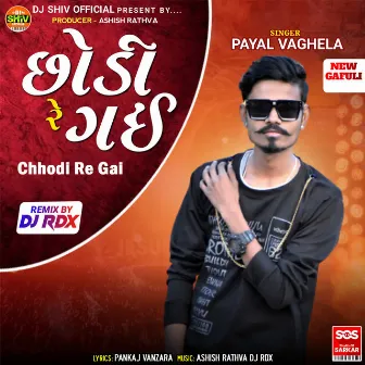 Chhodi Re Gai by 