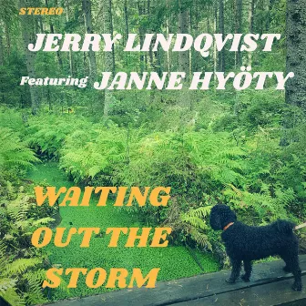 Waiting Out the Storm by Jerry Lindqvist