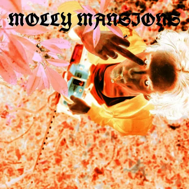 MOLLY MANSIONS