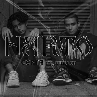 Harto by Certa