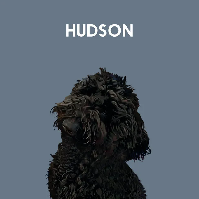 Hudson