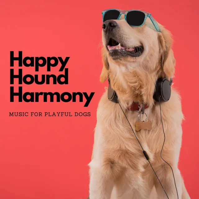 Happy Hound Harmony: Music For Playful Dogs