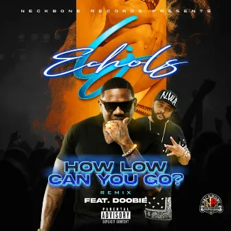 How Low Can You Go (Remix) by LJ Echols