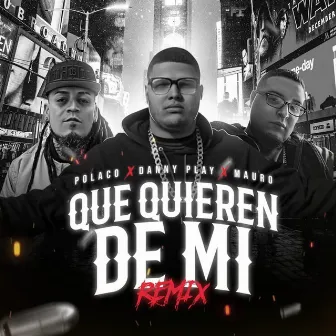 Que Quieren de Mi (Remix) by Danny Play